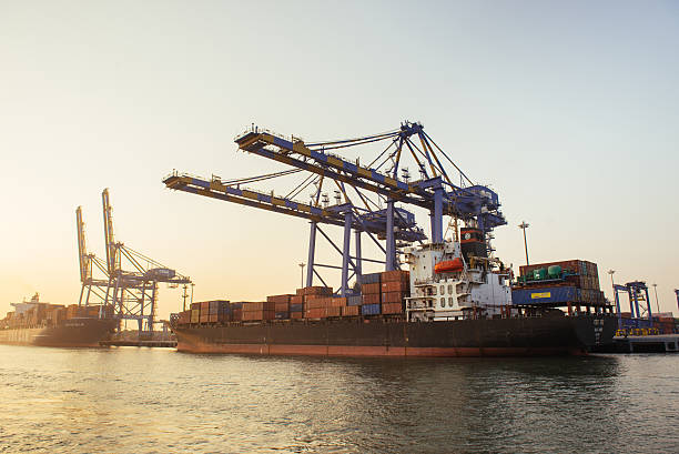 Connecting Continents: Italy’s Freight Forwarding Pros