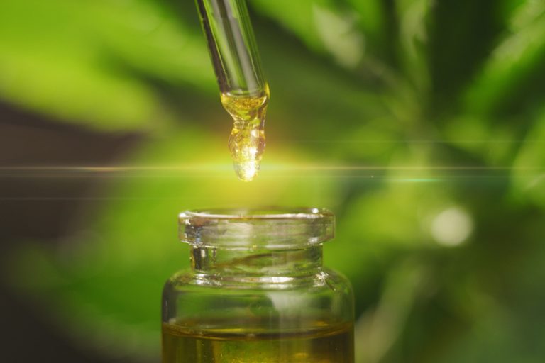 Unveiling the Best CBD Oil Brands in Toronto: A Detailed Review