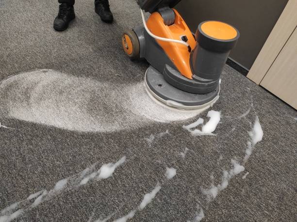Carpet Care Tips Every Homeowner Should Know